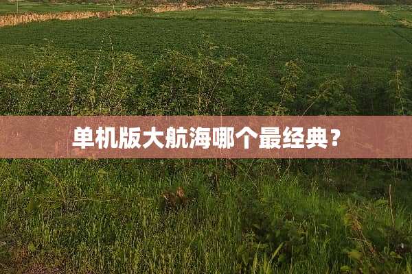 单机版大航海哪个最经典？