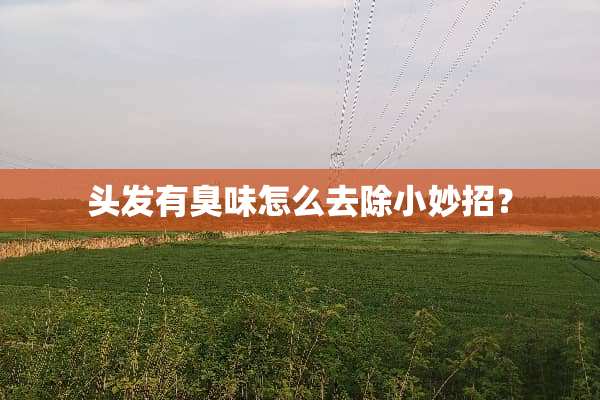 头发有臭味怎么去除小妙招？