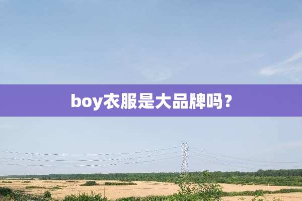 boy衣服是大品牌吗？