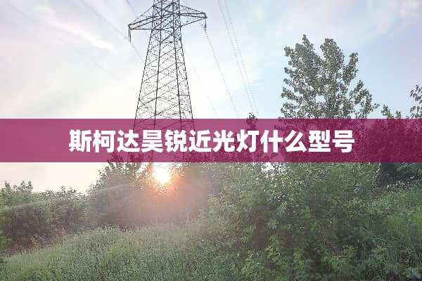 斯柯达昊锐近光灯什么型号