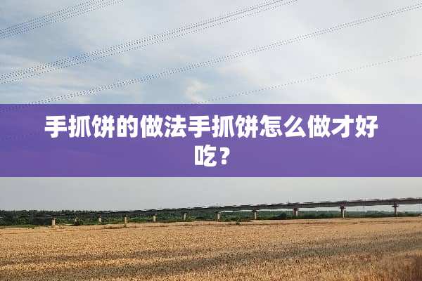 手抓饼的做法手抓饼怎么做才好吃？