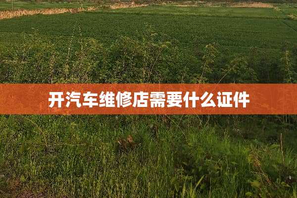 开汽车维修店需要什么**