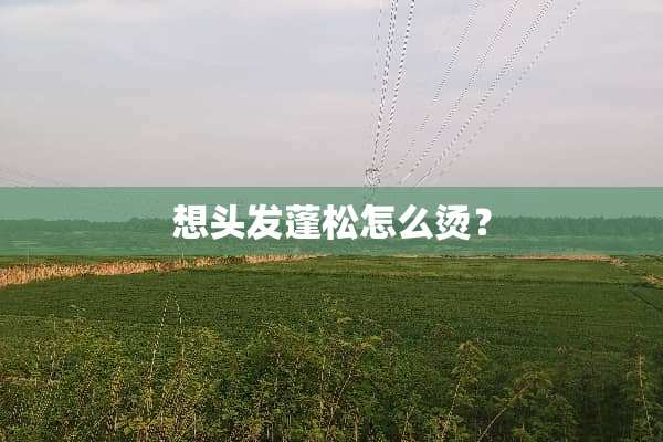 想头发蓬松怎么烫？