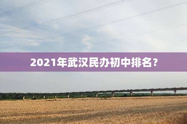 2021年武汉民办初中排名？