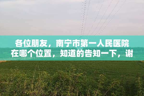 各位朋友，南宁市第一人民医院在哪个位置，知道的告知一下，谢谢了……