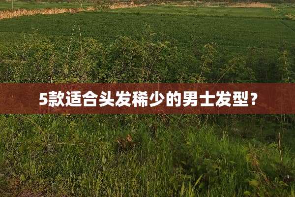 5款适合头发稀少的男士发型？