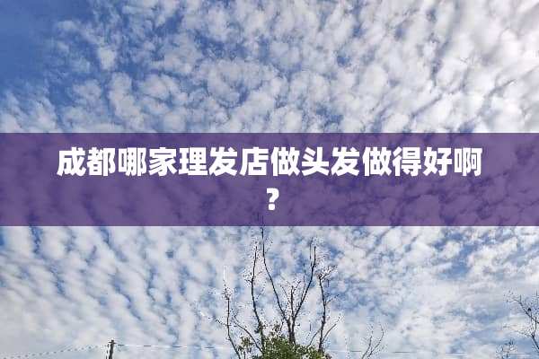 成都哪家理发店做头发做得好啊？