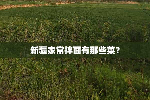 新疆家常拌面有那些菜？