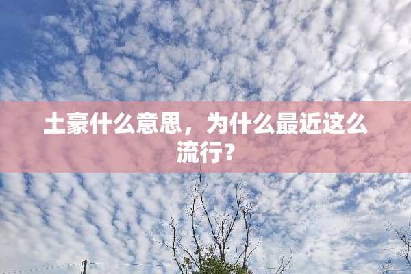 土豪什么意思，为什么最近这么流行？