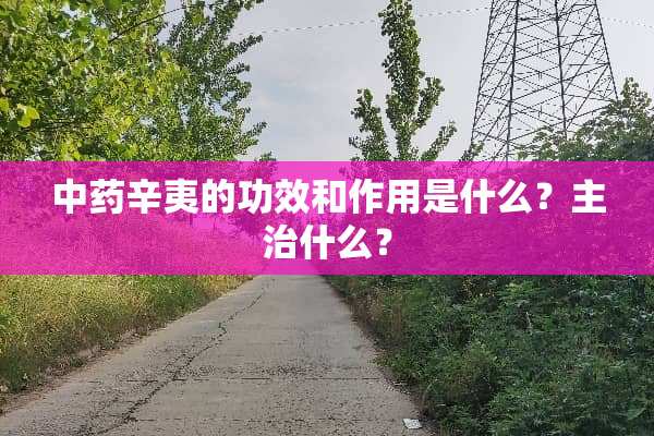 中药辛夷的功效和作用是什么？主治什么？