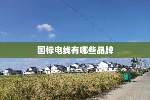 国标电线有哪些品牌