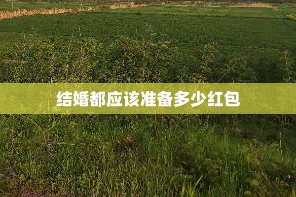 结婚都应该准备多少红包