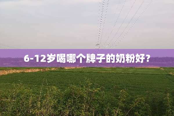 6-12岁喝哪个牌子的奶粉好？