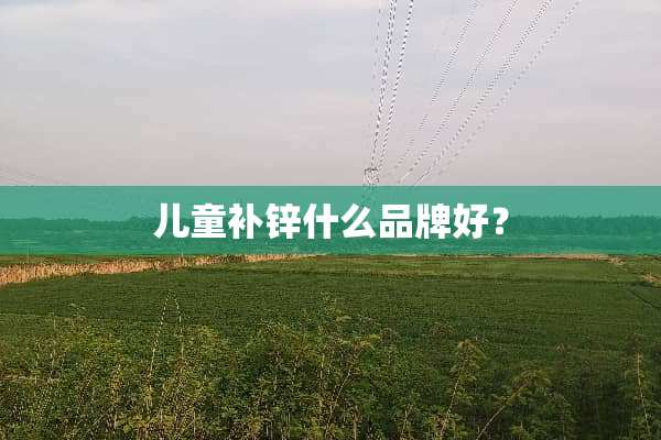儿童补锌什么品牌好？