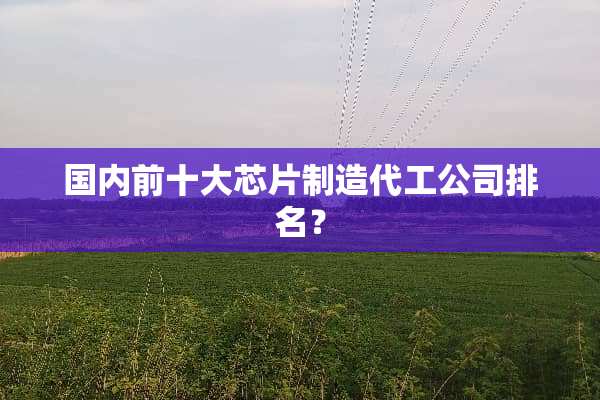 国内前十大芯片制造代工公司排名？