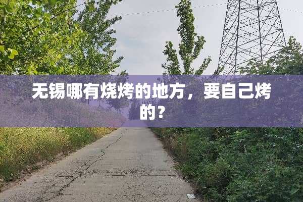 无锡哪有烧烤的地方，要自己烤的？