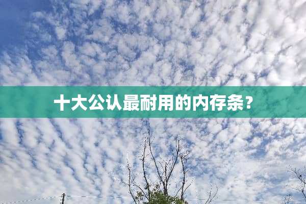 十大公认最耐用的内存条？