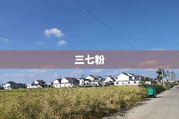 三七粉