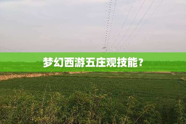 梦幻西游五庄观技能？