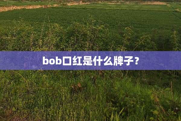bob口红是什么牌子？