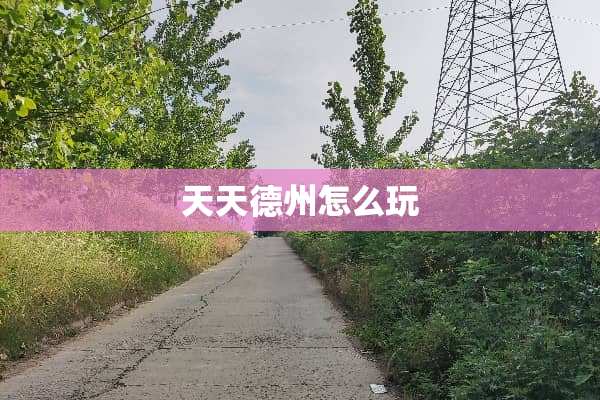 天天德州怎么玩