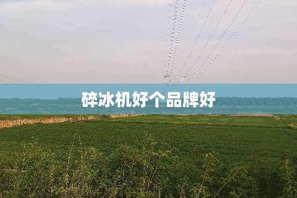 碎冰机好个品牌好