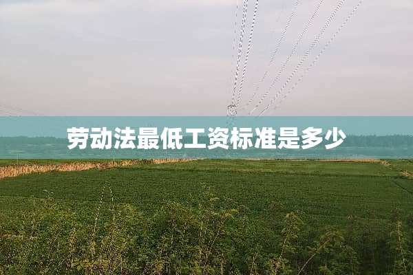 劳动法最低工资标准是多少