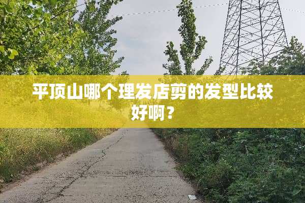 平顶山哪个理发店剪的发型比较好啊？