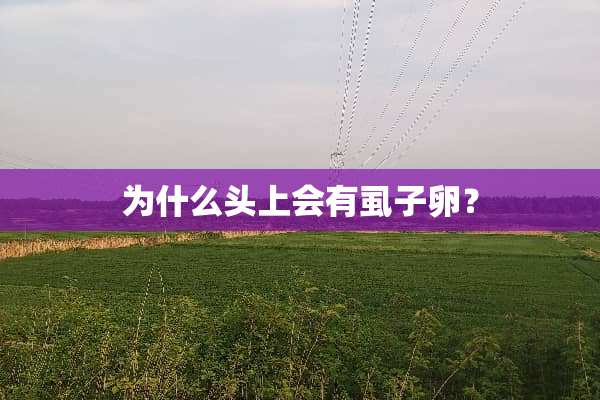 为什么头上会有虱子卵？