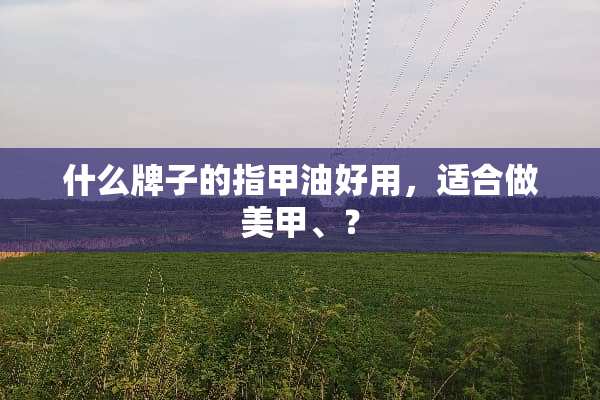 什么牌子的指甲油好用，适合做美甲、？