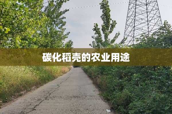 碳化稻壳的农业用途