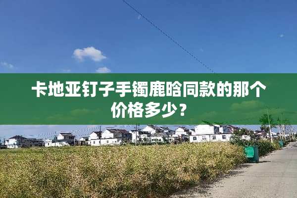 卡地亚钉子手镯鹿晗同款的那个价格多少？