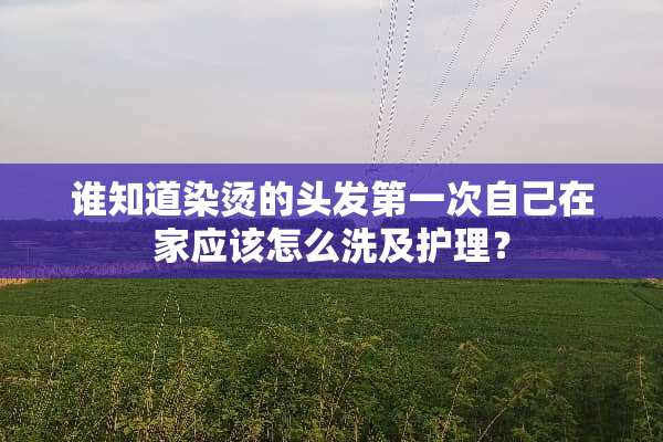 谁知道染烫的头发第一次自己在家应该怎么洗及护理？