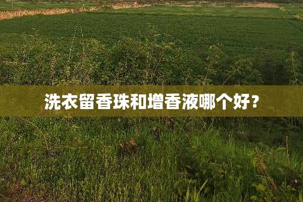 洗衣留香珠和增香液哪个好？