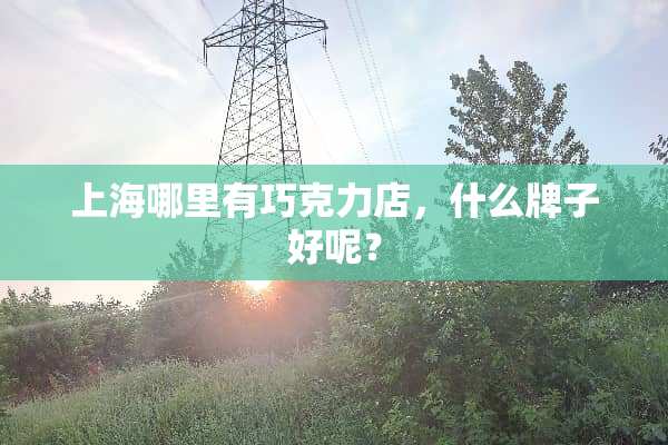 上海哪里有巧克力店，什么牌子好呢？
