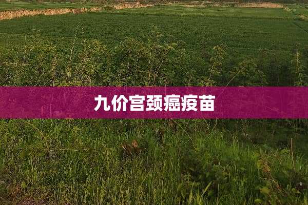 九价宫颈癌**