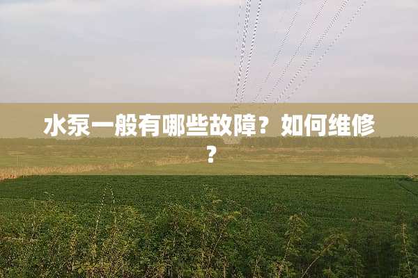 水泵一般有哪些故障？如何维修？