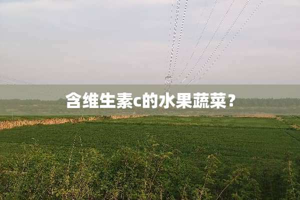 含维生素c的水果蔬菜？