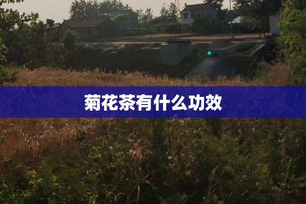 菊花茶有什么功效