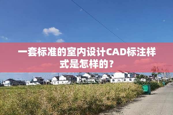 一套标准的室内设计CAD标注样式是怎样的？