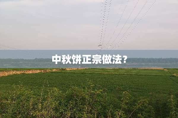 中秋饼正宗做法？