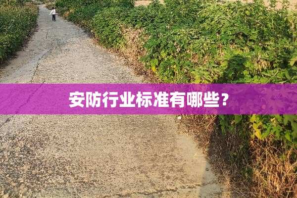 安防行业标准有哪些？