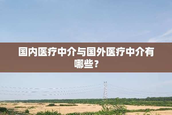 国内医疗中介与国外医疗中介有哪些？