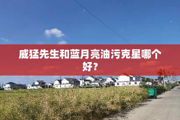 威猛先生和蓝月亮油污克星哪个好？