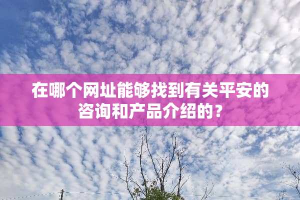 在哪个网址能够找到有关平安的咨询和产品介绍的？