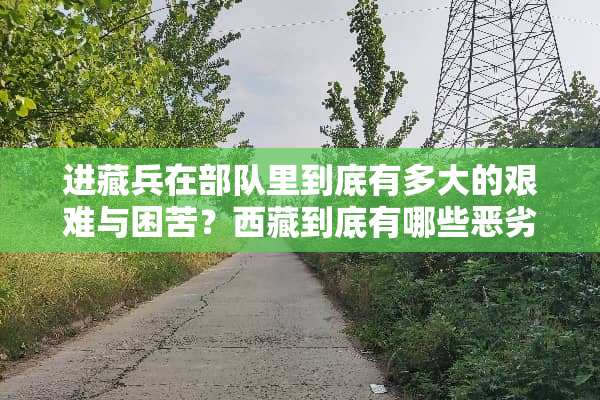 进藏兵在**里到底有多大的艰难与困苦？西藏到底有哪些恶劣的环境与见哭的生活