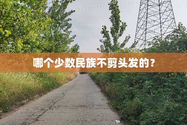 哪个少数民族不剪头发的？