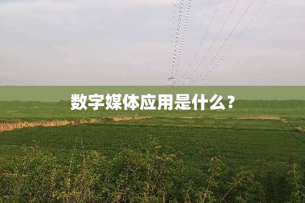 数字媒体应用是什么？