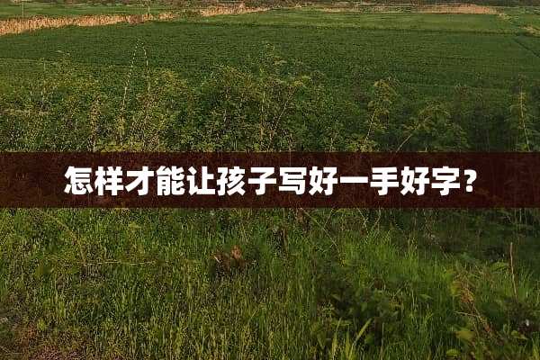 怎样才能让孩子写好一手好字？