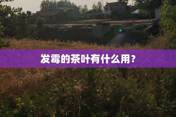 发霉的茶叶有什么用？